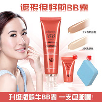 Baicao snail magic BB cream Korean nude makeup concealer strong moisturizing hydrating and isolating liquid foundation student