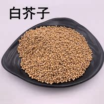 White mustard mustard seed Chinese herbal medicine shop Chinese herbal medicine Large whole white mustard 50g