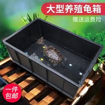 Black reptile tank tank water and land climbing pet tortoise Shougong Lizard horned frog hermit crab spider plastic ecological tank