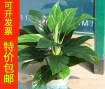 Small gold diamond seven star leaf simulation plant Office living room Home small floor-to-ceiling bonsai Fu Lu Tree engineering green plant