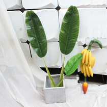 Simulation banana fruit skewer Fruit skewer Banana leaves Banana leaf accessories Extra large leaves Plastic green leaf fruit and vegetable decoration