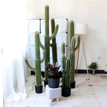 Simulation fairy column Nordic cactus cactus plant Large home decoration bonsai floor ornaments fake potted plants