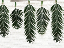 Coconut leaves Sunflower leaves False leaves scattered tail sunflower leaves Tropical set shooting props Large-scale engineering decorative green leaves
