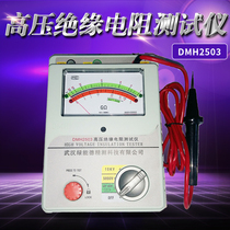DMH2503 10000v electronic pointer Series High Voltage Insulation Resistance Tester