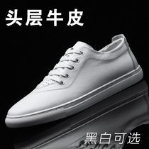 Small Leather Shoes Spring Casual Shoes Han Edition Trendy Shoes Mens Board Shoes Genuine Leather Shoes White Youth Fashion Little White Shoes