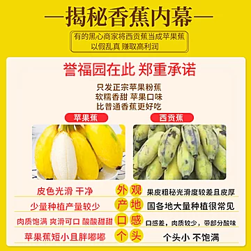正宗苹果蕉香蕉新鲜5斤当季整箱水果自然熟[10元优惠券]-寻折猪