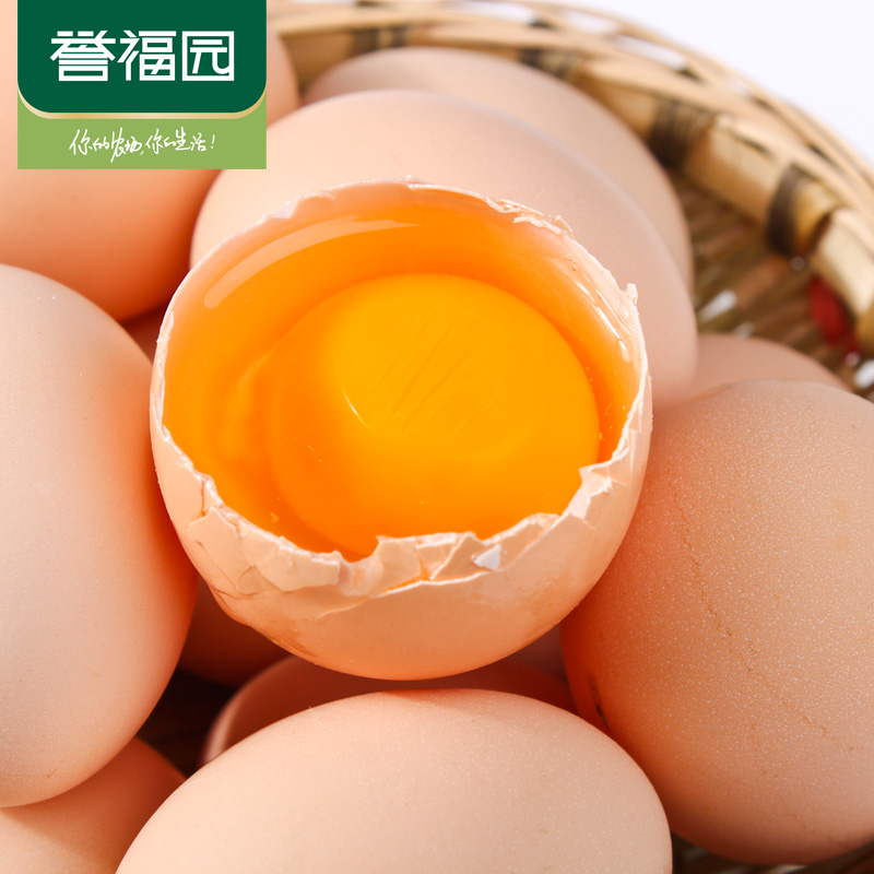 只发2天内【誉福园】橘园散养土鸡蛋40枚 新鲜鸡蛋农家柴鸡蛋产品展示图2