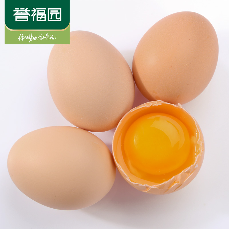 【誉福园】新鲜农家林下散养初生蛋 土鸡蛋初产蛋20枚产品展示图1