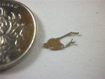 Original 8120 Watch Clutch Rod Press Spring Original 8120 Automatic Hand Roll Accessories