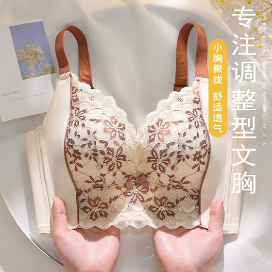 High-end French lace underwear for women with small breasts gathered to make them look large and anti-sagging, lifting, and adjustable bra without steel rings
High-end French lace underwear for women with small breasts gathered to make them look large and anti-sagging, lifting, and adjustable bra without steel rings