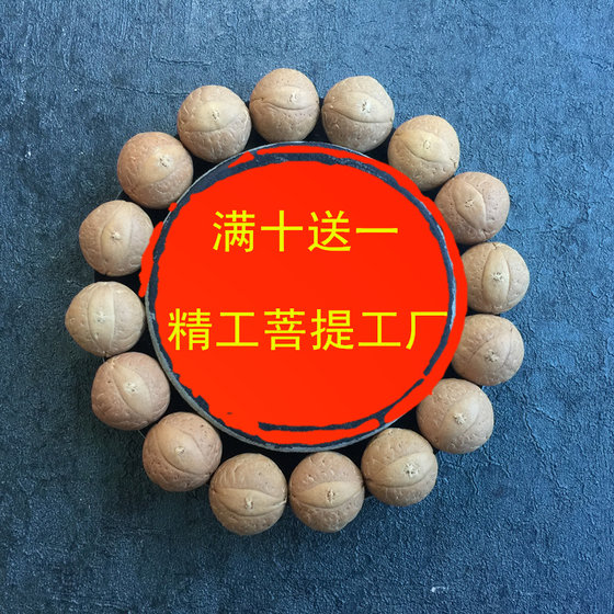 선택된 네팔 새 씨앗 붉은 노란색 피부 작은 피닉스 눈 보디 씨앗 느슨한 구슬 longan bodhi 씨앗 원자 선택된 네팔 새 씨앗 붉은 노란색 피부 작은 피닉스 눈 보디 씨앗 느슨한 구슬 longan bodhi 씨앗 원자