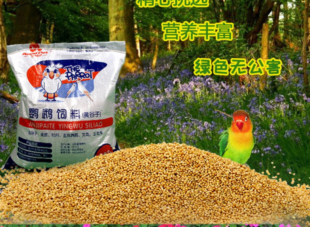 虎皮鹦鹉饲料鸟食玄凤谷子牡丹粮食文鸟带壳小米黄雀鸟粮包邮5斤_7折