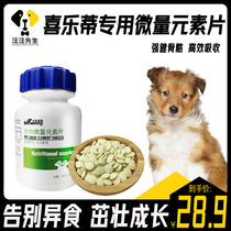 Joy Leti Adult Dog Pooch Eating trace elements nibbling on isophiles Calcium Tablets Large Dog Pet Nutritional Supplements