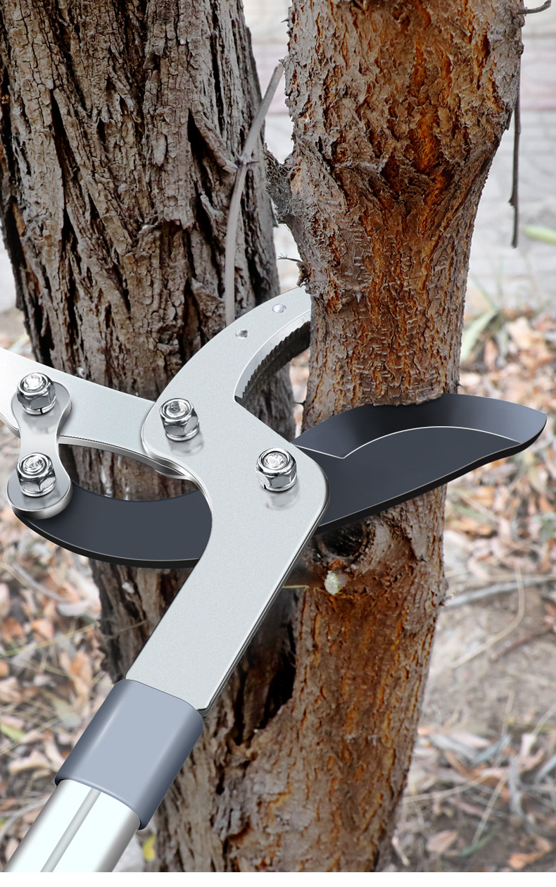 大力粗枝剪园艺大剪刀剪枝果树修枝修剪树枝园林省力枝剪花剪强力