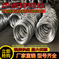 Hot-dip galvanized steel wire 2 0mm galvanized steel wire 2 2 2 6 2 8 3 0mm Orchard vegetable greenhouse