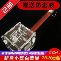 Xiaomo Ant House Acrylic Cabbage Nest Simple Nest Test Tube Nest