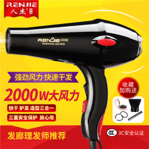 Human Hair Dryer High Power Hair Stylist Special Hair Salon Without Injury Hair Dryer 2000W Home Blow Cylinder