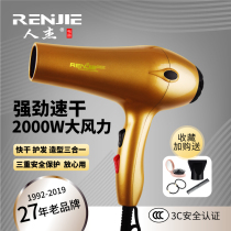 Hair dryer Home High power speed dry hair dryer 2000W Tuihau gold Baking Varnish Electric Hair Dryer