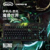 Cherry G80-3000 Snowstorm World Alsace Iridan Custom Game Mechanical Keyboard