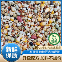 Jinling AA grade has corn nutrition pigeon food pigeon food pigeon feed yuan pigeon meat bird food 50 pounds