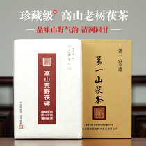 Treasure-level alpine old tree Fu brick tea authentic barren mountain pure material Anhua black tea Super Hunan Jinhua tea
