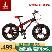Shanghai Phoenix Childrens Bicycle 20 22 inch magnesium alloy variable speed all-in-one mountain bike 6-15 year old student car