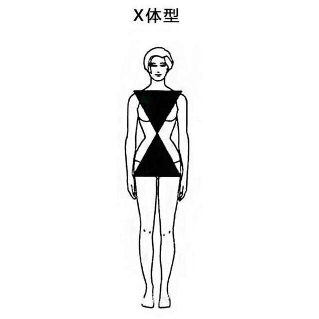 x型身材通过上面这张图片,再根据自己的体型,相信大家已经对自己的