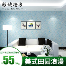 Color velvet ecological wall clothing fiber coating self-brushing home environmental protection TV background wall bedroom living room wallpaper 1000g