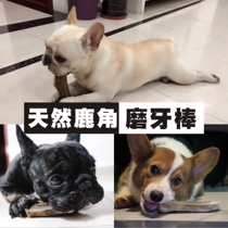 Dog snacks Corgi Lawdou Yingdou Pago Corgi molar stick Bone bite-resistant calcium antler puppy tooth cleaning toy