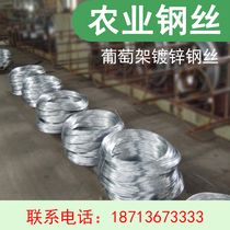 Hot Galvanized Steel Wire Outdoor Greenhouse Load Bearing Thyme Kiwi Fruit Goosebumps 2 2 0 2 2 No rusting steel wire