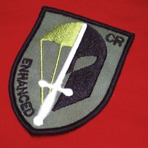 German EGB Arm Chapters Green CR Spartan Magic Sticker