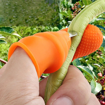 Flower Picker Pepper Gloves Grape Strangling Tip Special Iron Nail Agricultural Picker Bean Horn Cutting Pepper Picker Thumb Knife