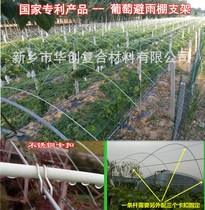 New Type Materials Macaque Peach Grape Dodging Canopy Arch Shed Bracket GRP Elastic Stick Factory Customized Production