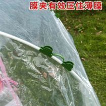 Sun-shading anti-wormnet insulated film greenhouse membrane buckle pressure film buckle gardening bracket accessory fixing pillar
