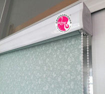 Fengwu new dust cover roller curtain curtains up and down hand pull hanging curtain shading shading waterproof lifting curtain