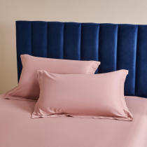 Hotel Pillow Package Single Pillow Case with a pair of cotton student dormitory thickening grinding wool for Nordic cute girls