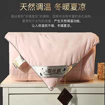 Tongxiang pure hand silk is 100 sand silk summer summer cool by air conditioning 6 kg spring and autumn by core winter quilt