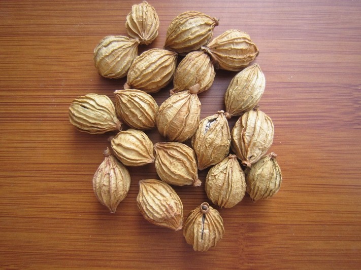 四川香砂仁金砂仁川砂仁香砂火锅炖肉500克卤料调料香料包邮药淘天下