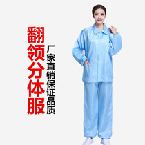 Anti-static split suits dust-free clean collar workwear jacket plus pants suit jacket white blue male and female