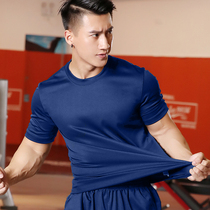 Fire physical training clothing flame blue physical fitness short sleeve summer clothing physical clothing clothing jacket rescue male shirt shorts