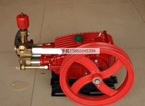 Panda God Dragon Black Feline Corball Cleaner Pump Head 58 55 40600 High Pressure Washing Machine Copper Thickened Pump Head