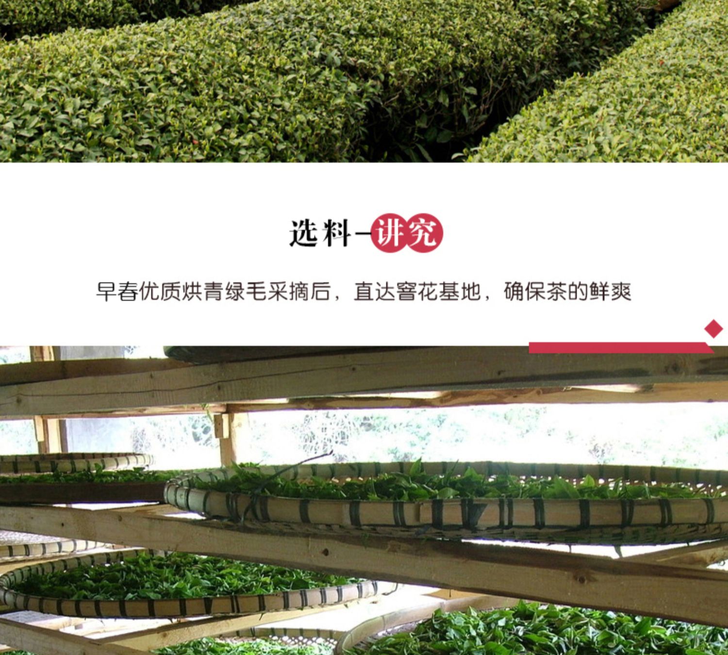 吴裕泰字号茶叶新茉莉花茶茶叶