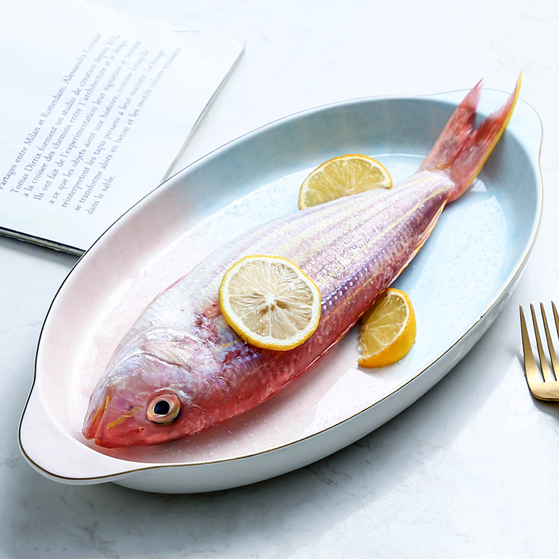 Ins web celebrity steamed fish dishes home new rectangle large creative Nordic light dishes ceramic dish of key-2 luxury