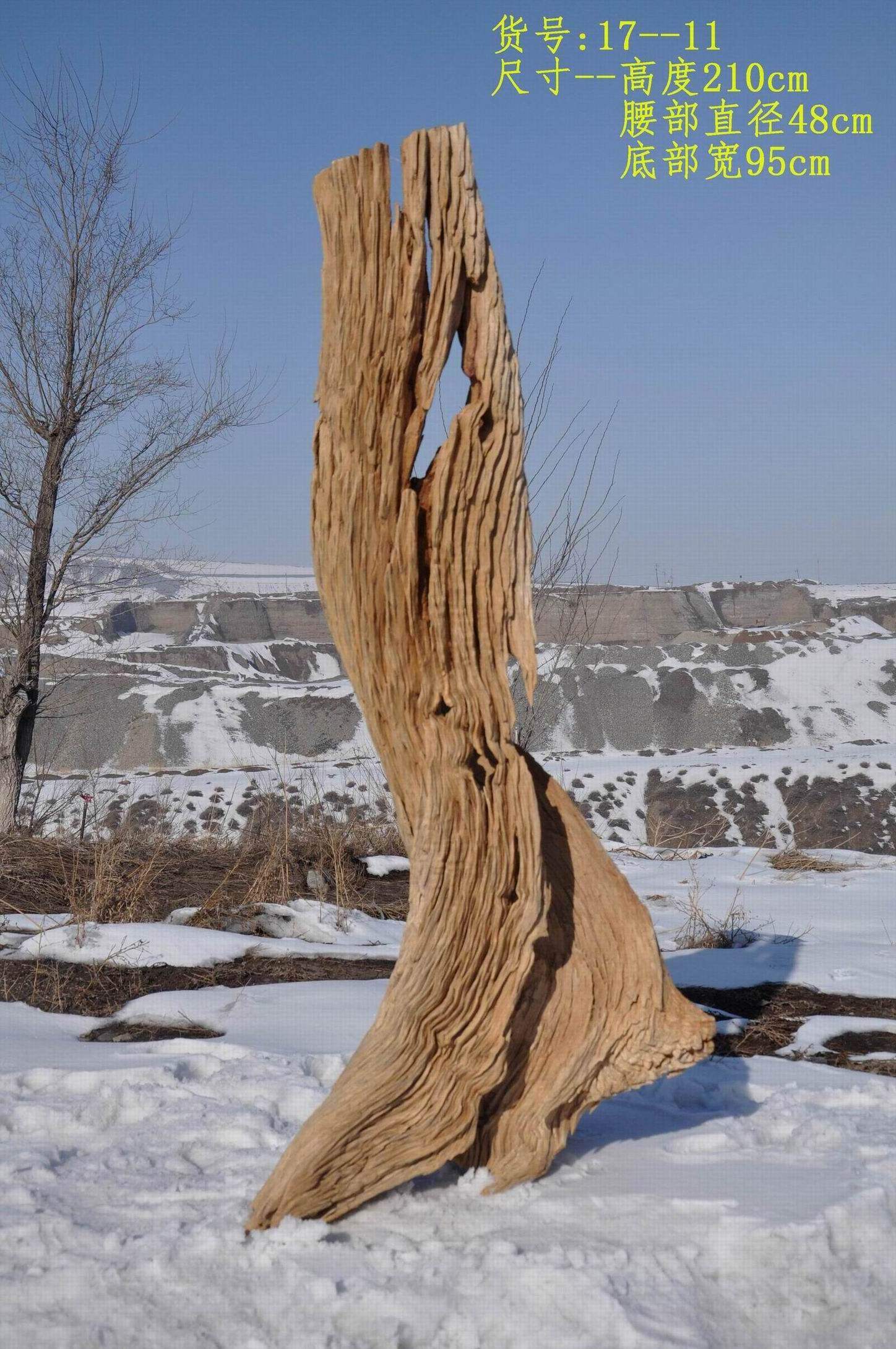 新疆戈壁玉裸石沙漠天然胡杨原木摆件天然工艺品包邮特价7600元