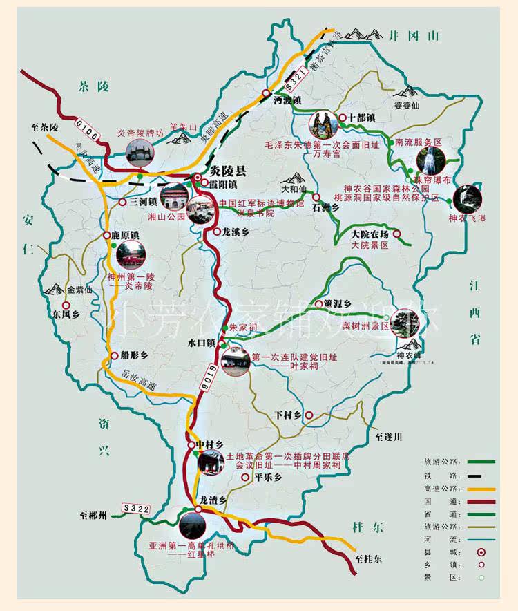 炎陵高山黄桃绿色有机原生态新鲜水果炎陵黄桃10斤装包邮8月发货