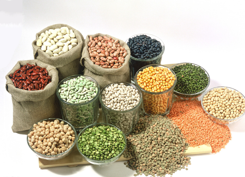 健康生活 健康饮食