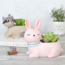 Ethnic Wind Multimeat Flower Pots Creative Meat Plants Combined Potted Plant Pendulum Pieces Microscape Cute Cartoon Animal Decorations