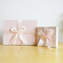 Plaything injury pay-Japan Pikachu Doraemon Chinchilla gift special tote bag gift box packaging supplies