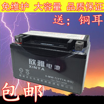 Big Sheep Little Sheep Little Guy King Pedal Motorcycle Battery Battery Maintenance-Free Dry Battery Battery