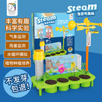 Childrens Science Experiment Small Weather Station Toy Kindergarten Teaching Aids Themselves Flowers Elementary School Students Observe Wind Vane